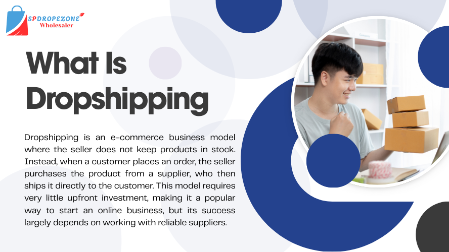 SPDROPEZONE dropshipping platform