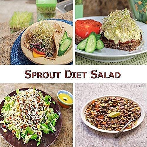 SPDROPEZONE dropshipping platform