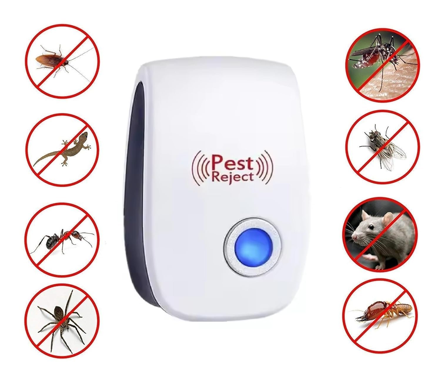 SPDROPEZONE dropshipping platform